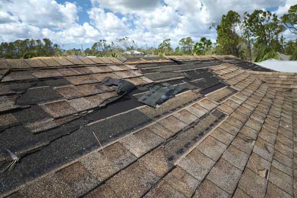Grow your Roof Damage Restoration business