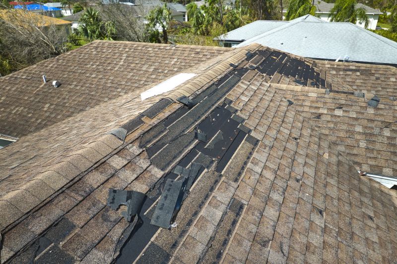 Roof Damage Inspection