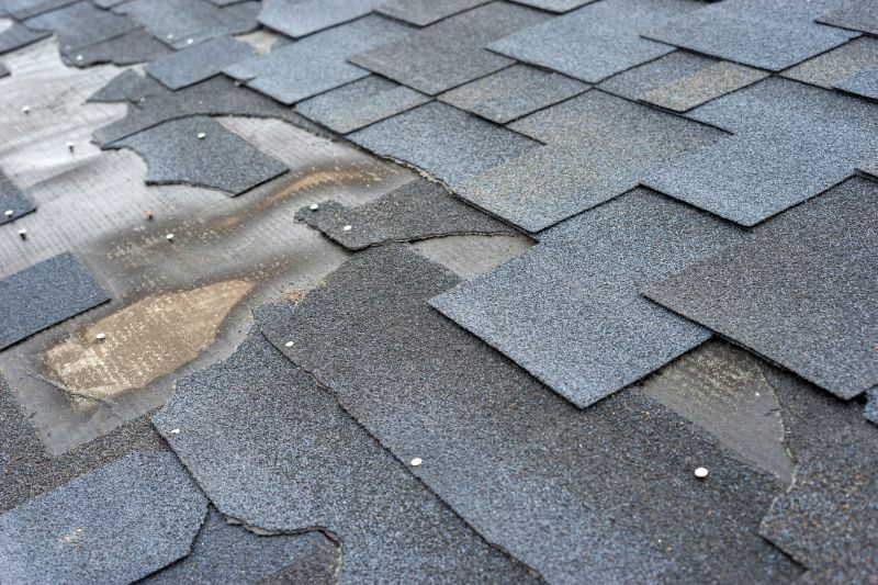 Extends roof service life